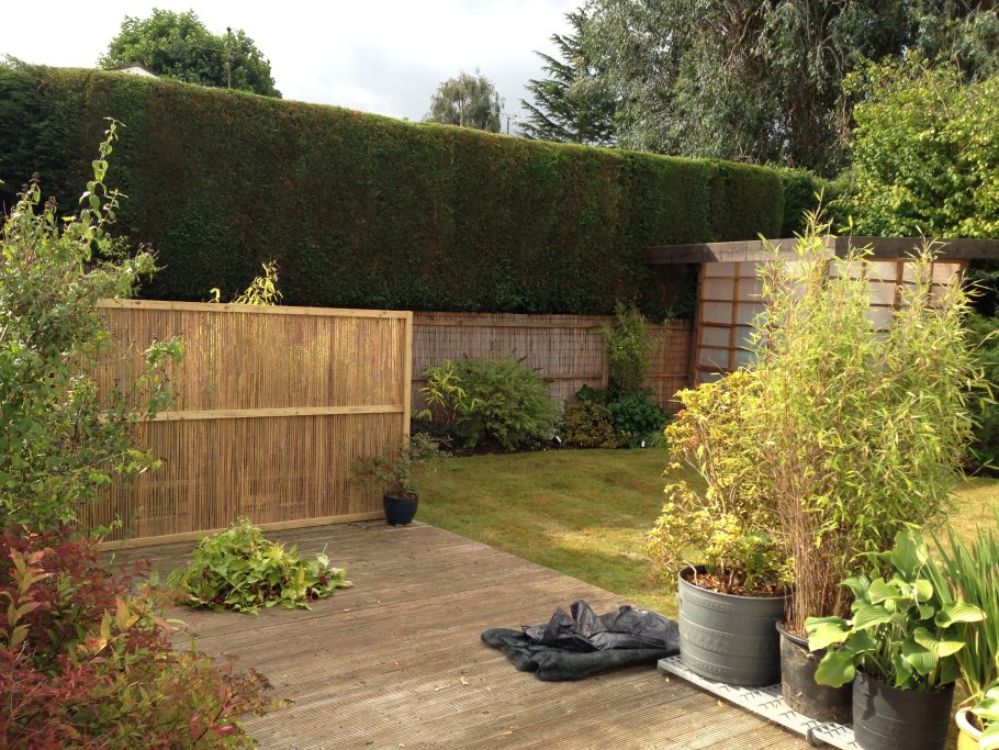 Однопородная Живая изгородь