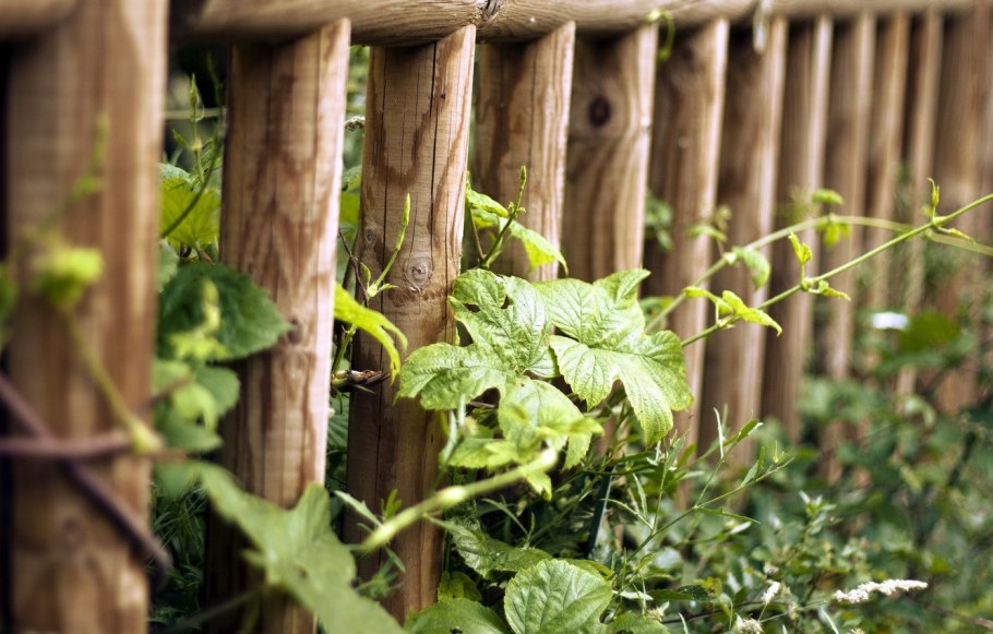 Декорирование дачного забора