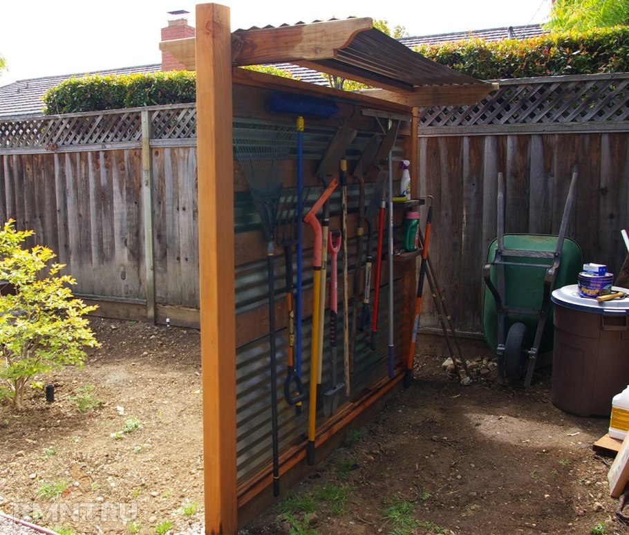 Туя шпалера