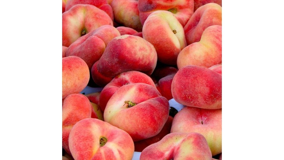 Сорт персика инжирный бельмондо