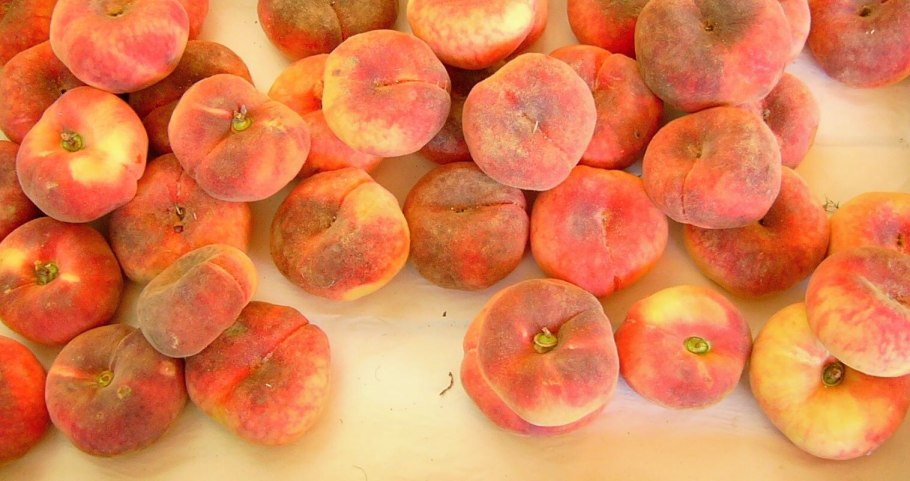 Персик Инжирный Сатурн