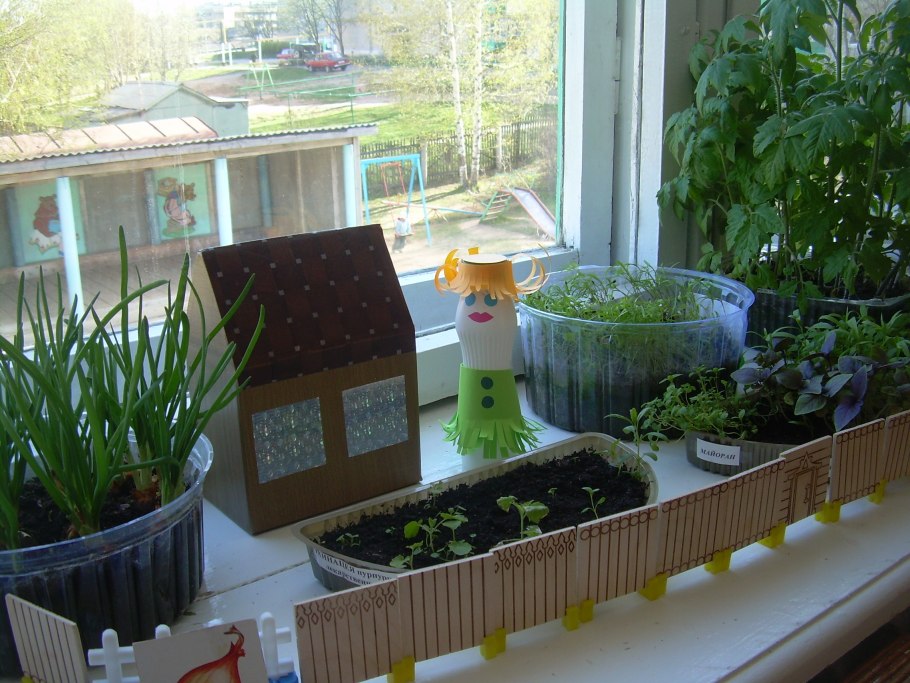 Мини огород на подоконнике
