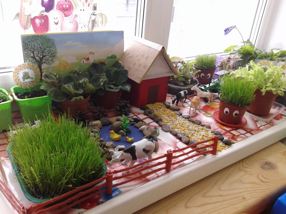 Огород на подоконникемв детском саду