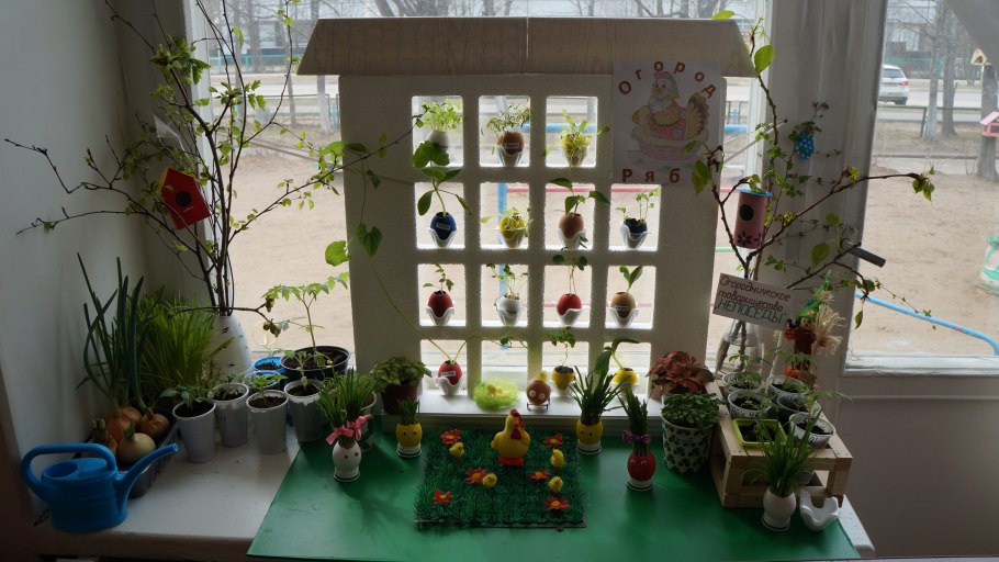Оформление огорода на окне в детском саду