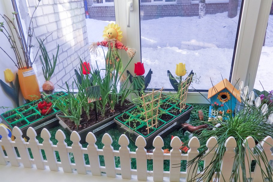 Мини садик на подоконнике