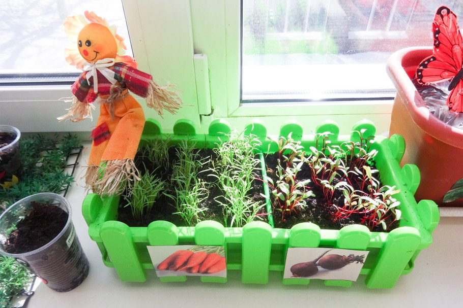 Удольфианский минисад