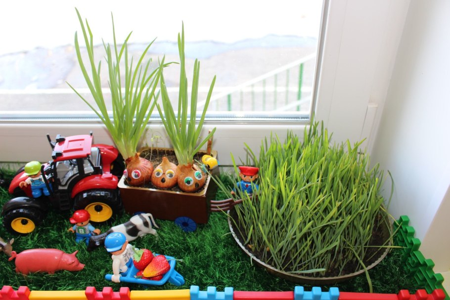 Огород на окне в детском
