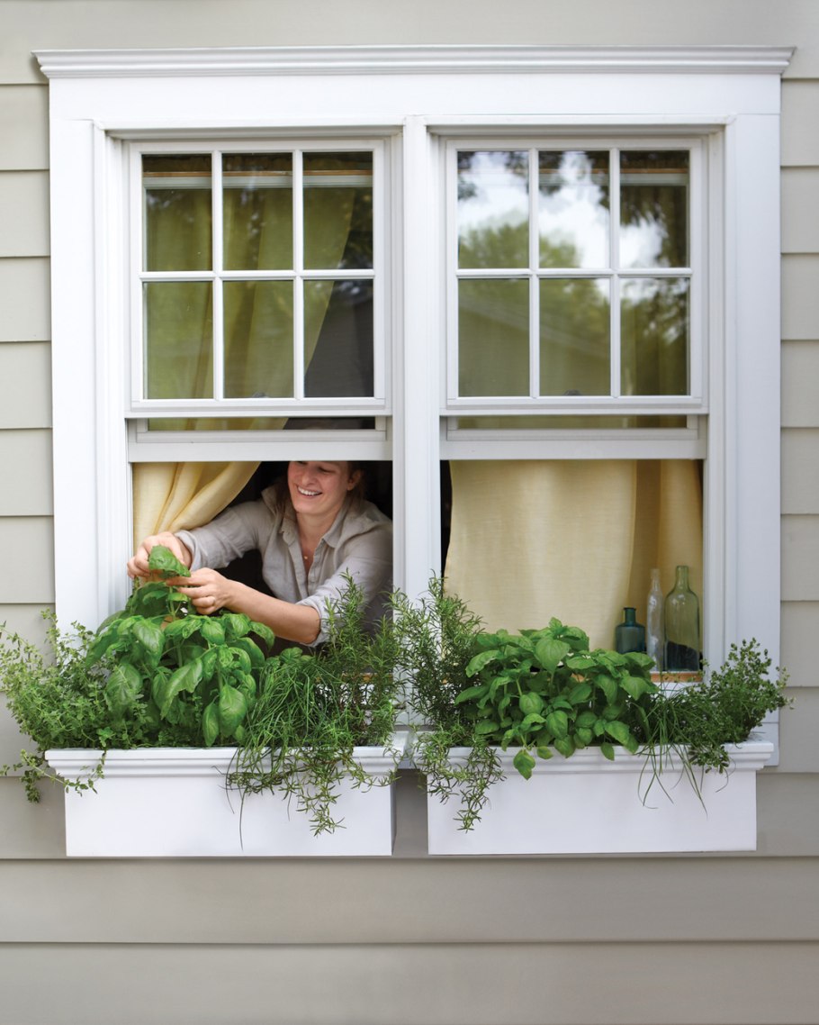 Window box idea