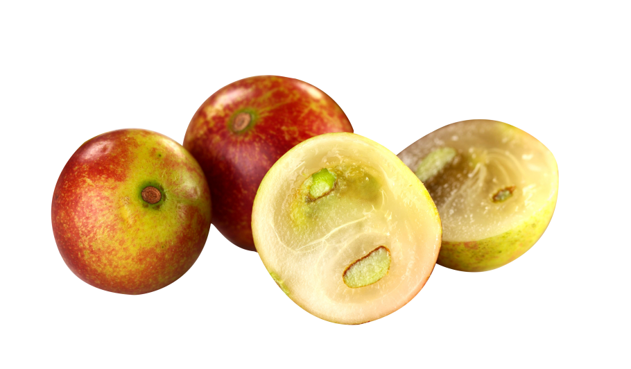 Кама Кама фрукт