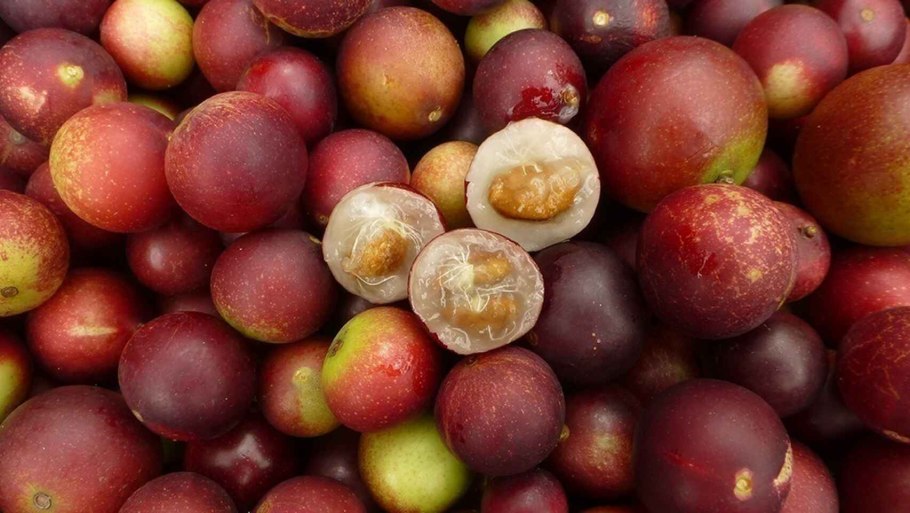 Фрукт каму каму