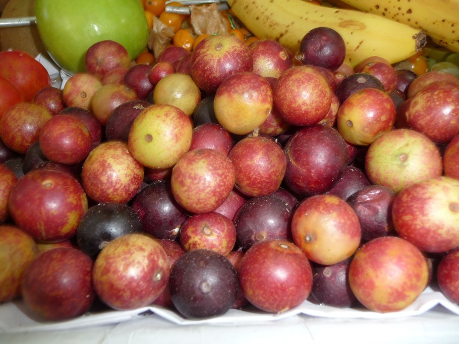 Ромовая ягода Мирциария