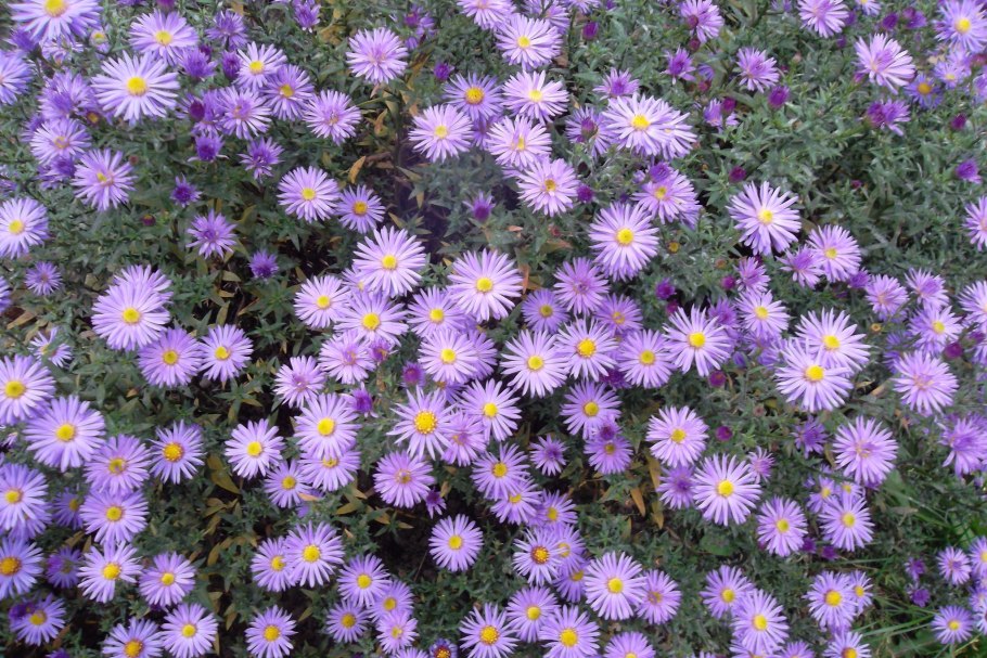 Сентябринки октябринки