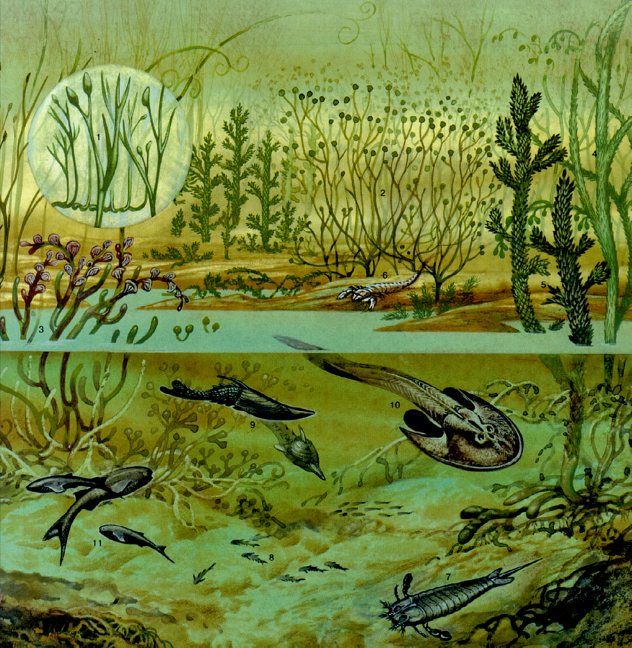 Палеозойская Эра силурийский период животные