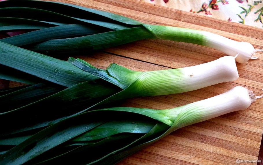 Leek лук порей