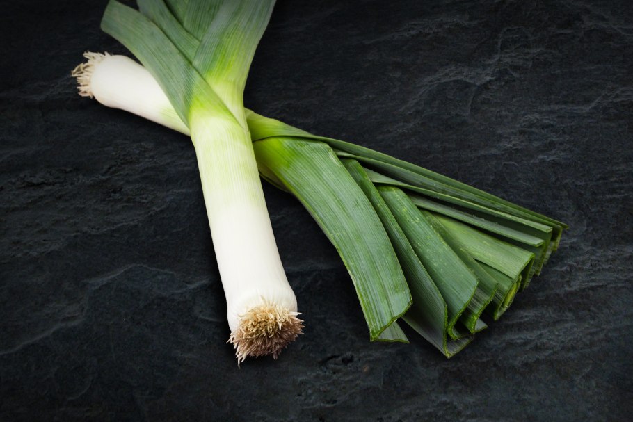 Leek лук порей
