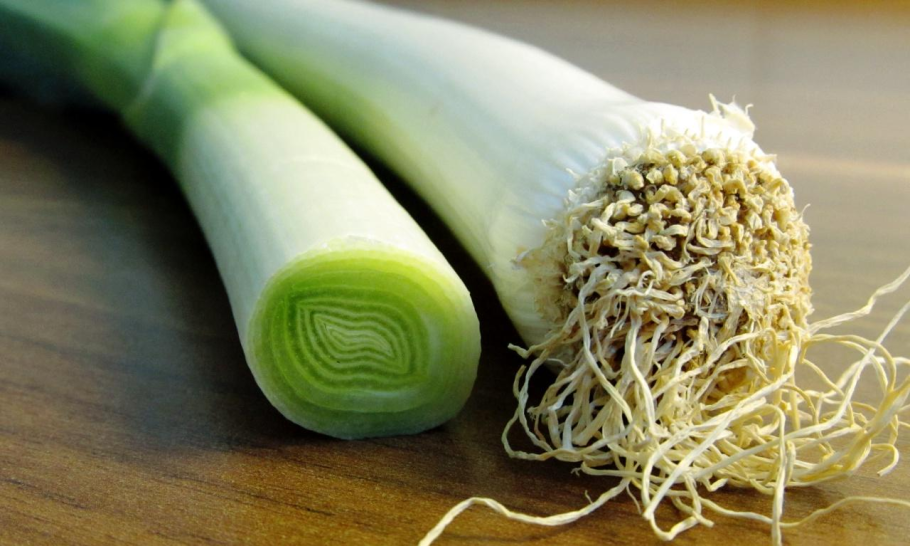 Лук порей Карантанский