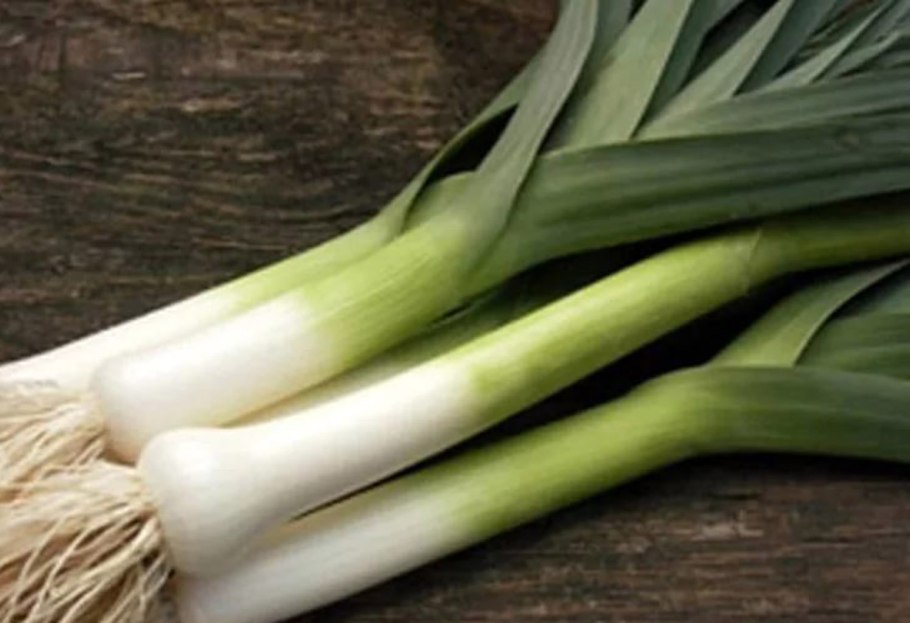 Цибуля порей