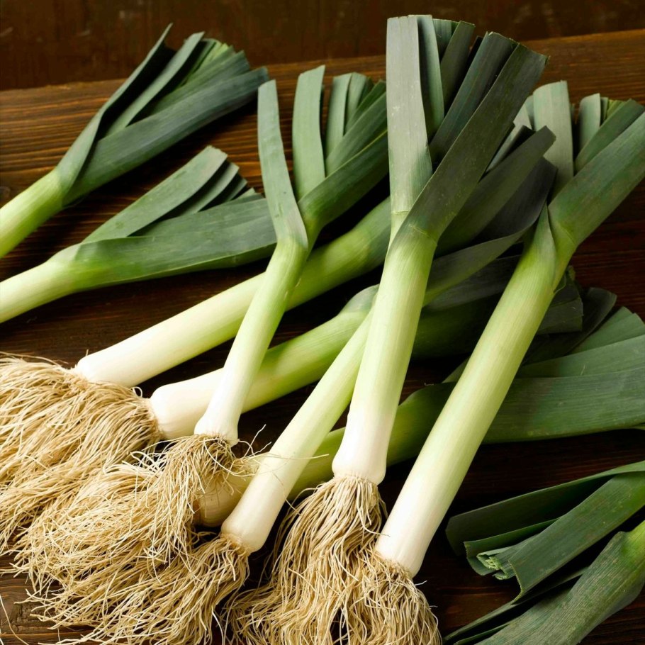 Семена лук порей Карантанский