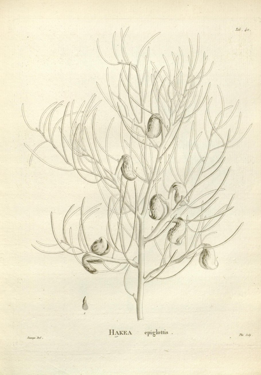 Бирюза u1603 s