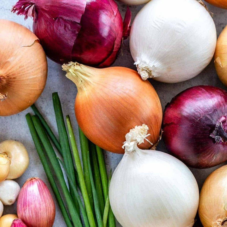 Лук севок шалот