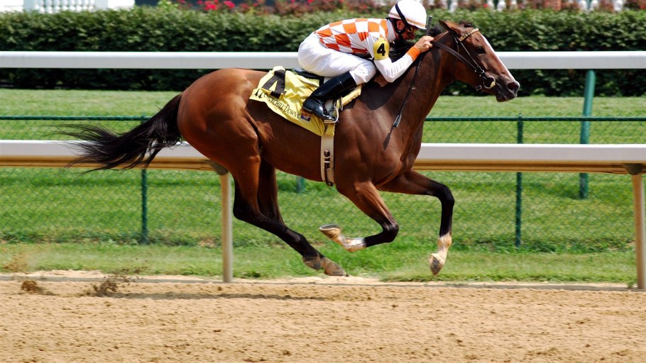 Брелок Mongoose LS 9000d