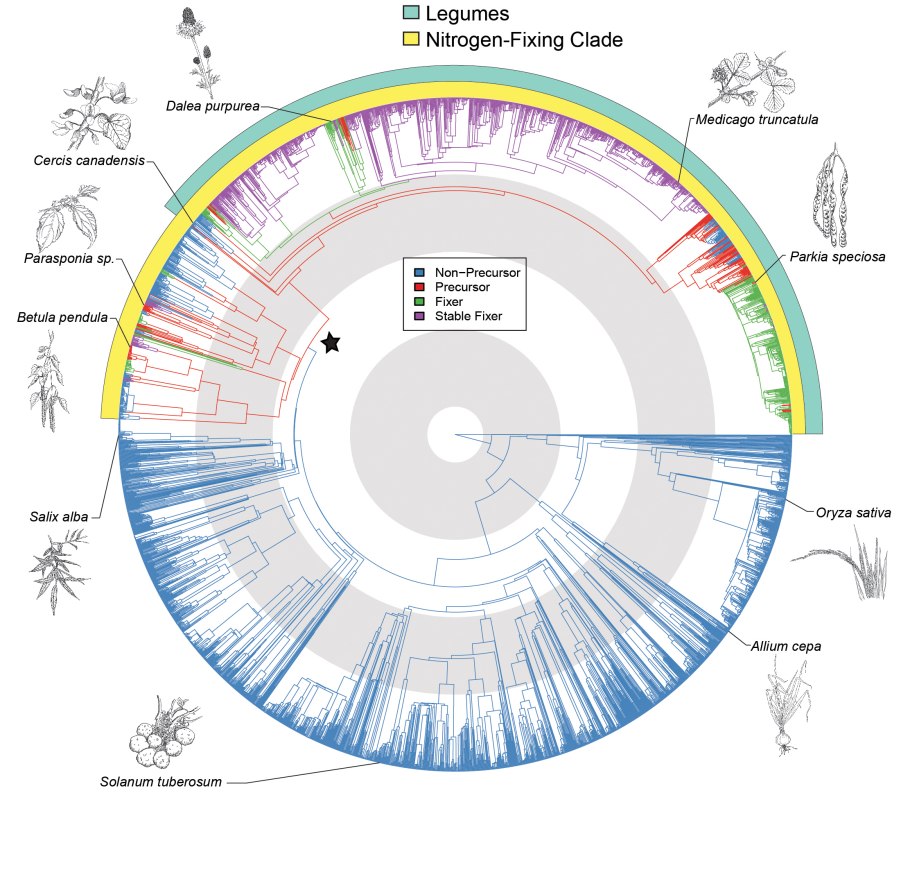 Бичак самса