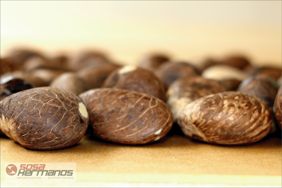 Тагуа Карменере