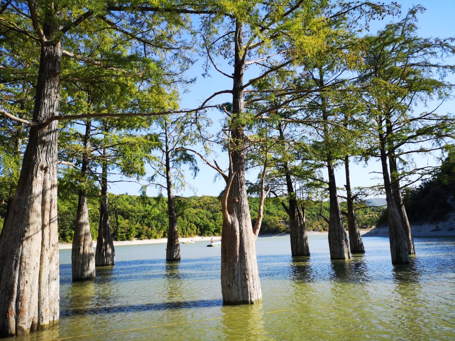 Сукко кипарисовое озеро