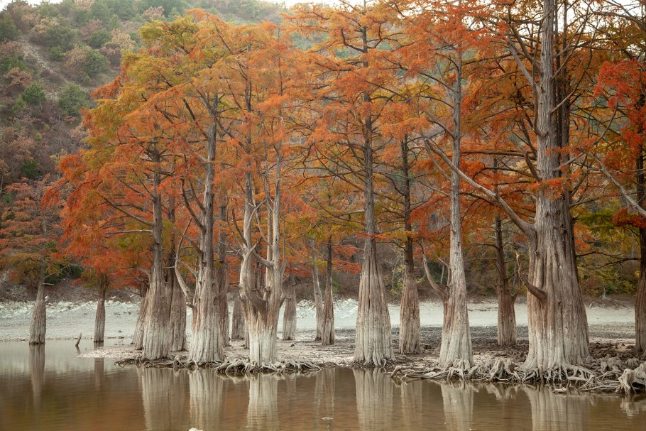 Кипарисовое озеро в анапе