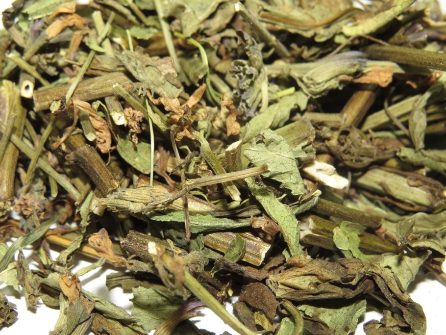 Котовник многонадрезанный