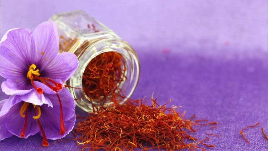 Шафран специя Крокус