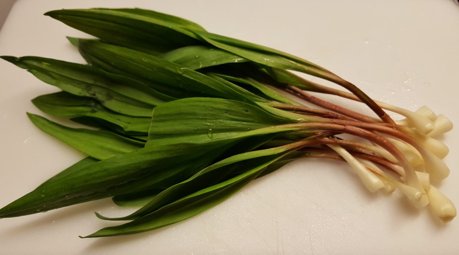 Аллиум ампелопрасум