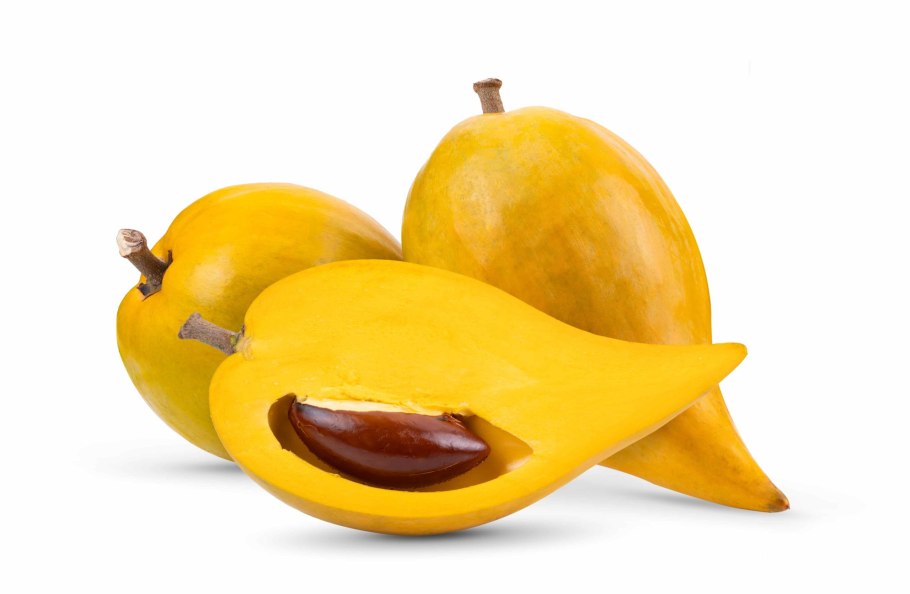 Лукума фрукт купить