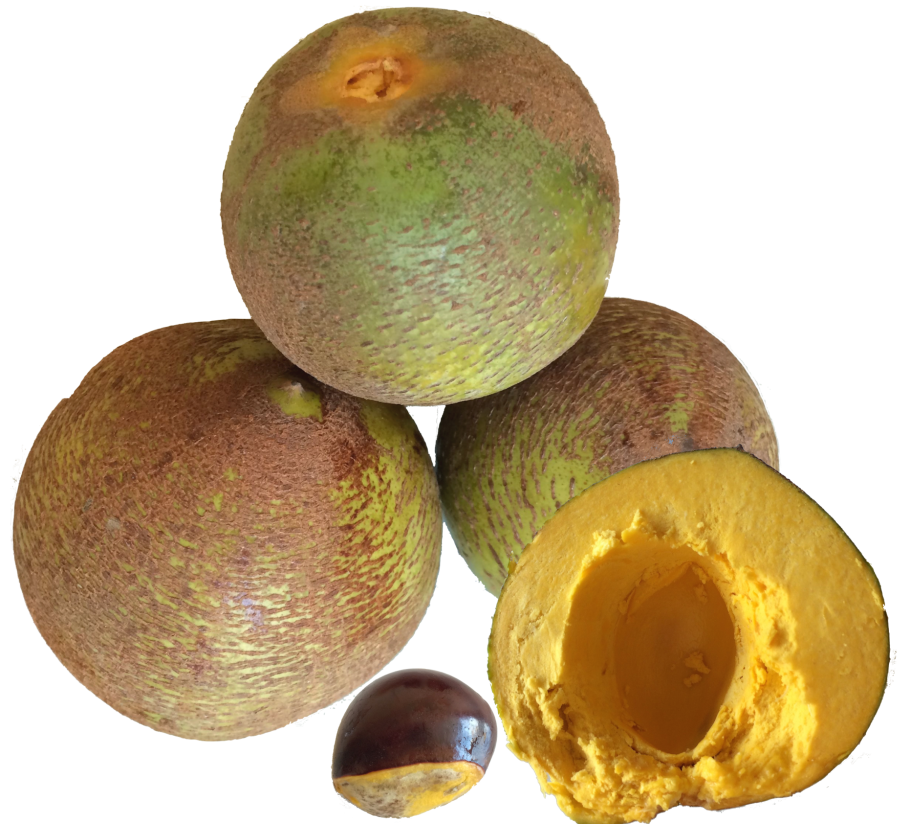 Дерево лукума