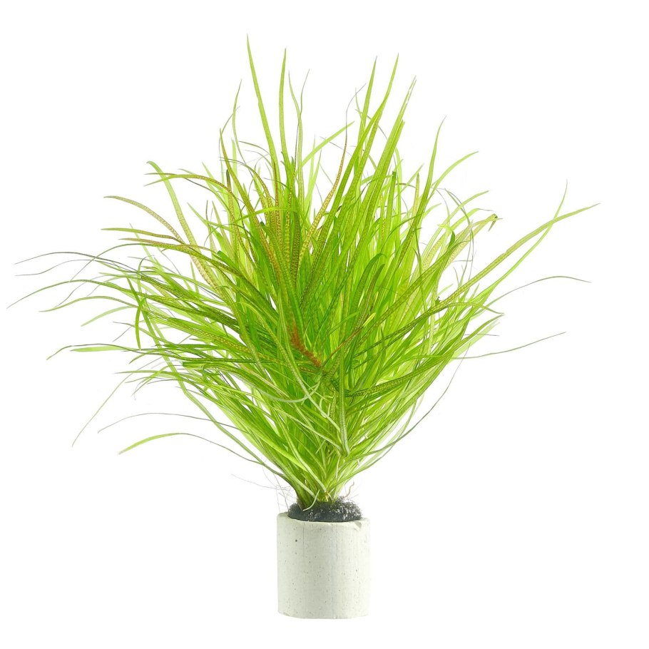 Акваскейп с Бликсой