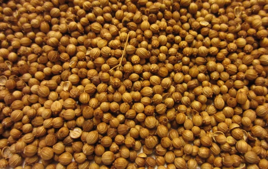 Колюрия пряные травы