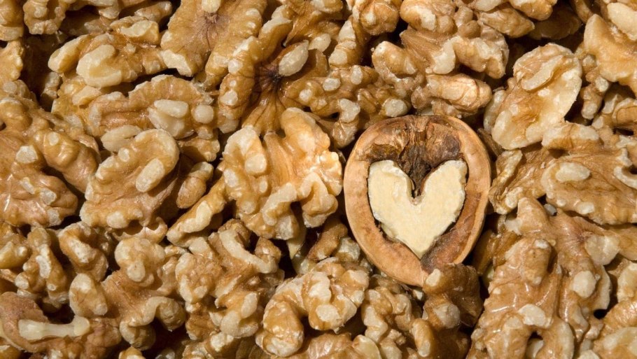 Каштан Сегю