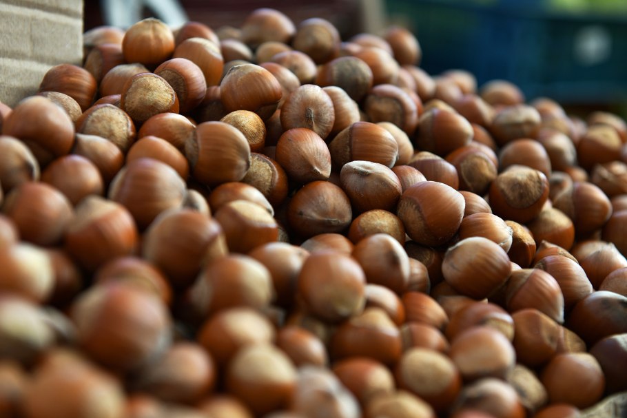 Фундук абхазия