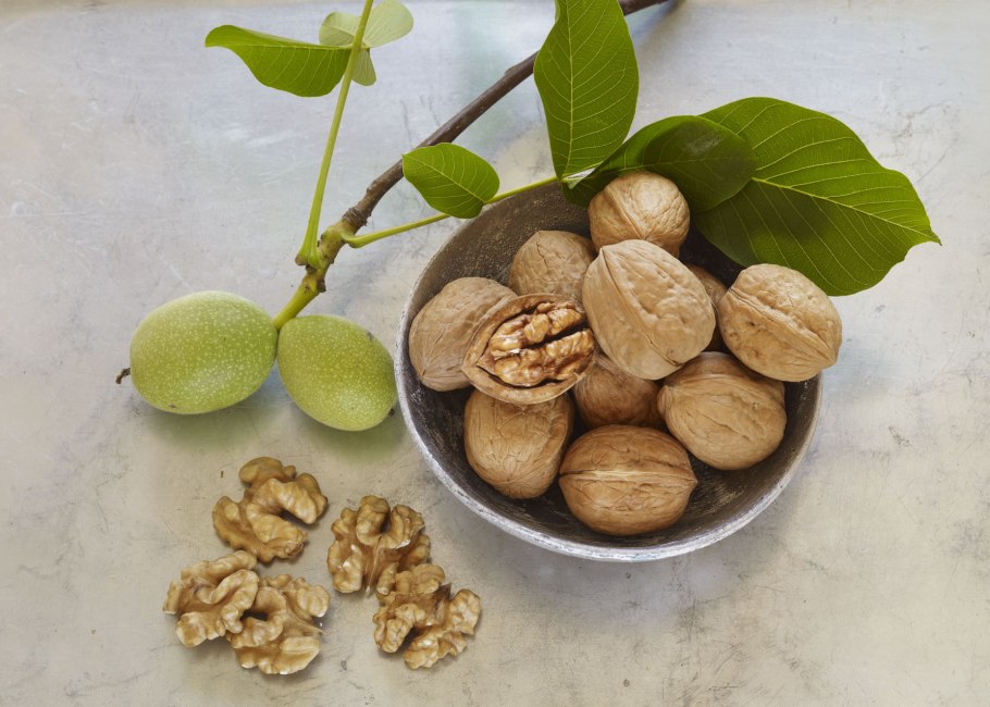 Пекан ёнгок