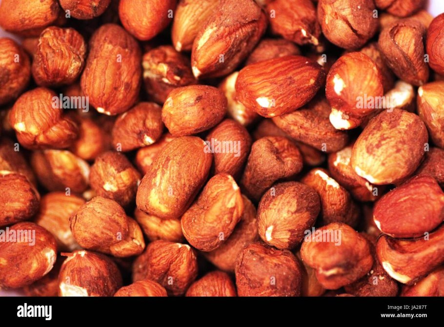 Фундук орех