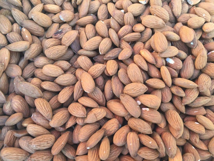 Орехи растут на дереве