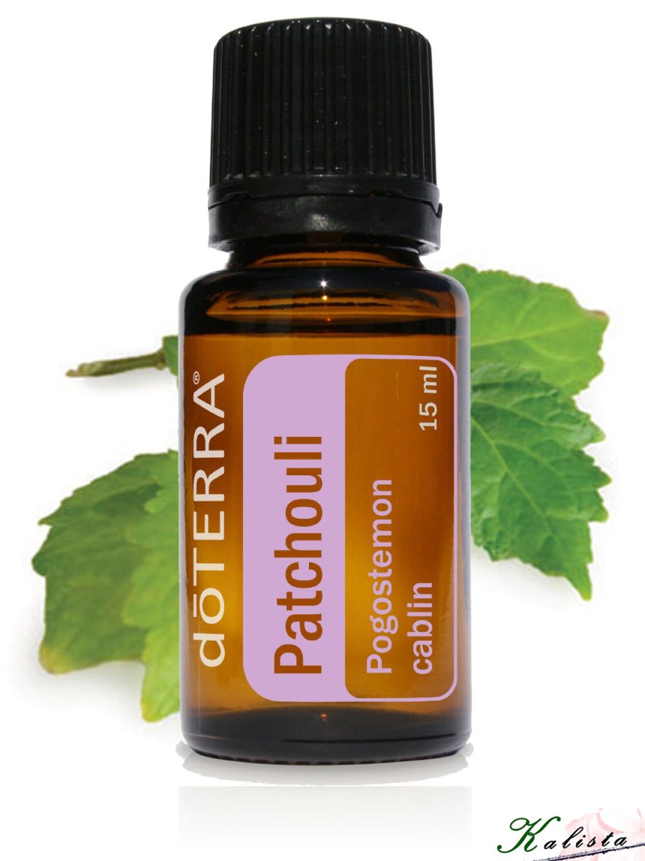 Куст пачули