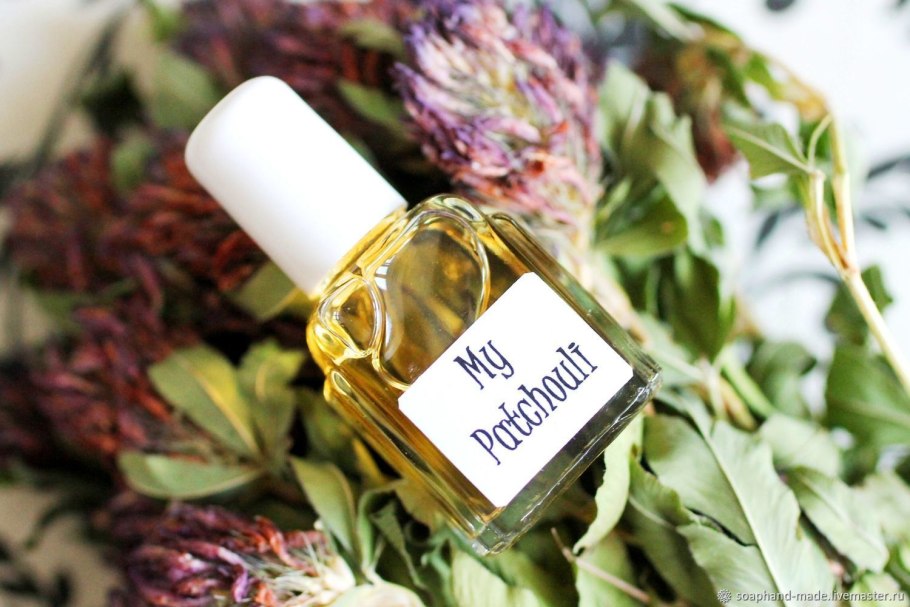 Pogostemon cablin Patchouli