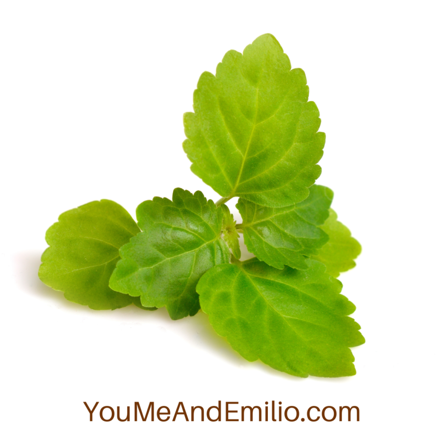 Духи с запахом пачули