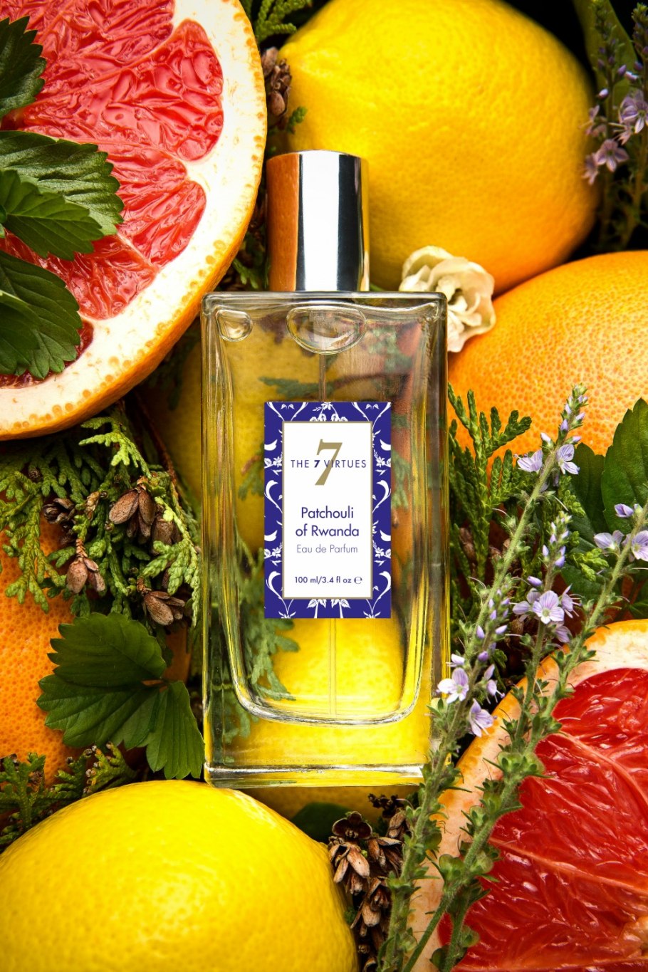 Пачули кустарник