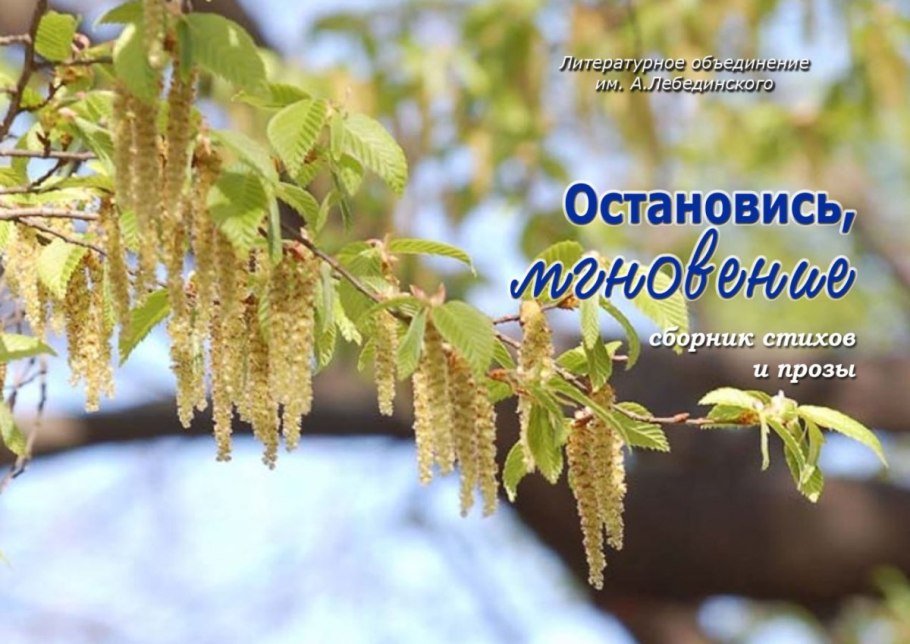 Береза Арктическая Голден Треже