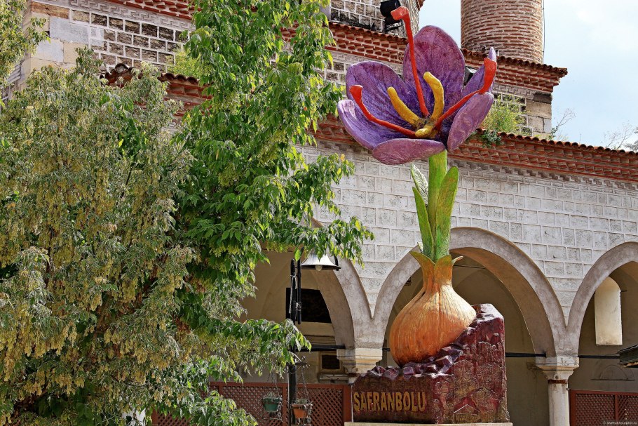 Действие шафрана