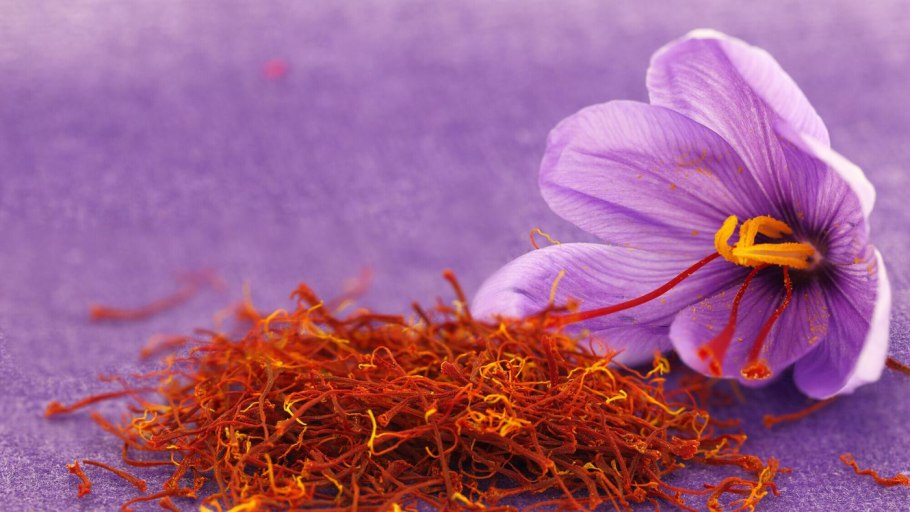Шафран специи