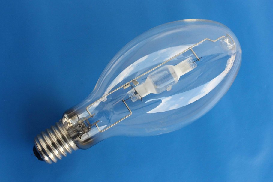 Болотные растения росянка