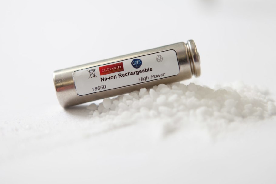 Росянка растение хищник